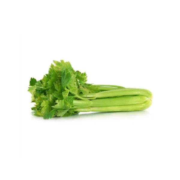 Celery - Local