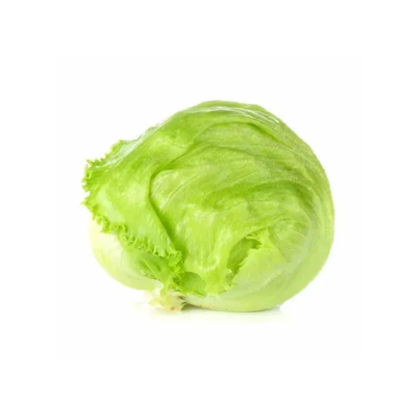 Ice Berg Lettuce