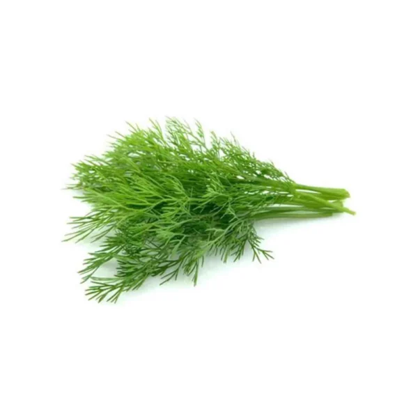 Soya Leaves/ Dill - bunch